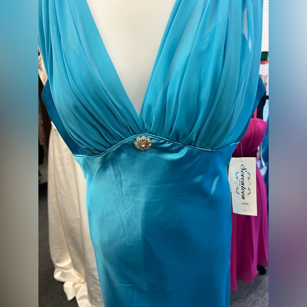 Beautiful Gown - Picture 8 of 9